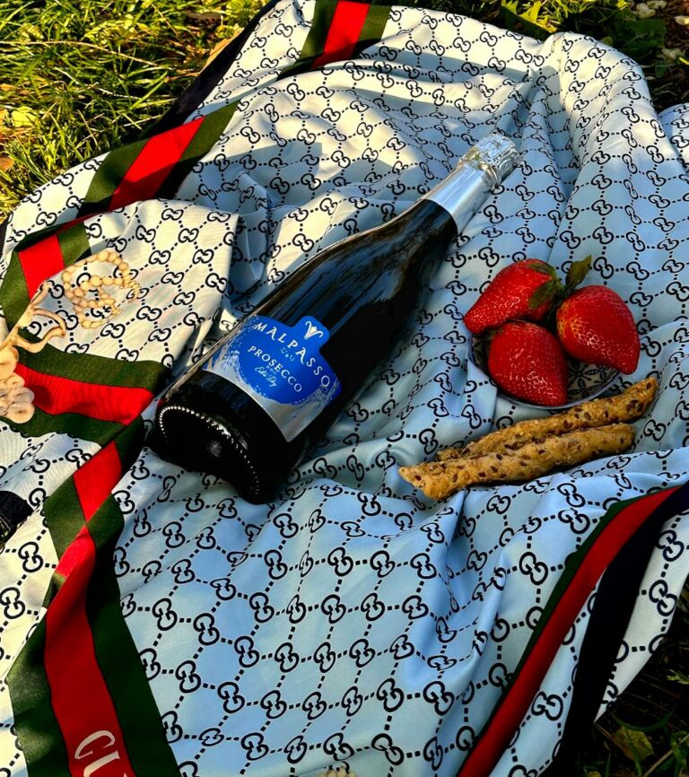 A luxury picnic with prosecco and strawberries on a designer blanket, perfect for relaxation.