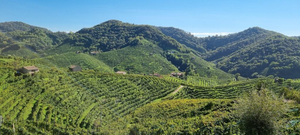 vineyards, nature, hills, valdobbiadene, italy, plantation, terraces, viticulture, winegrowing, countryside, landscape, mountains, panorama
